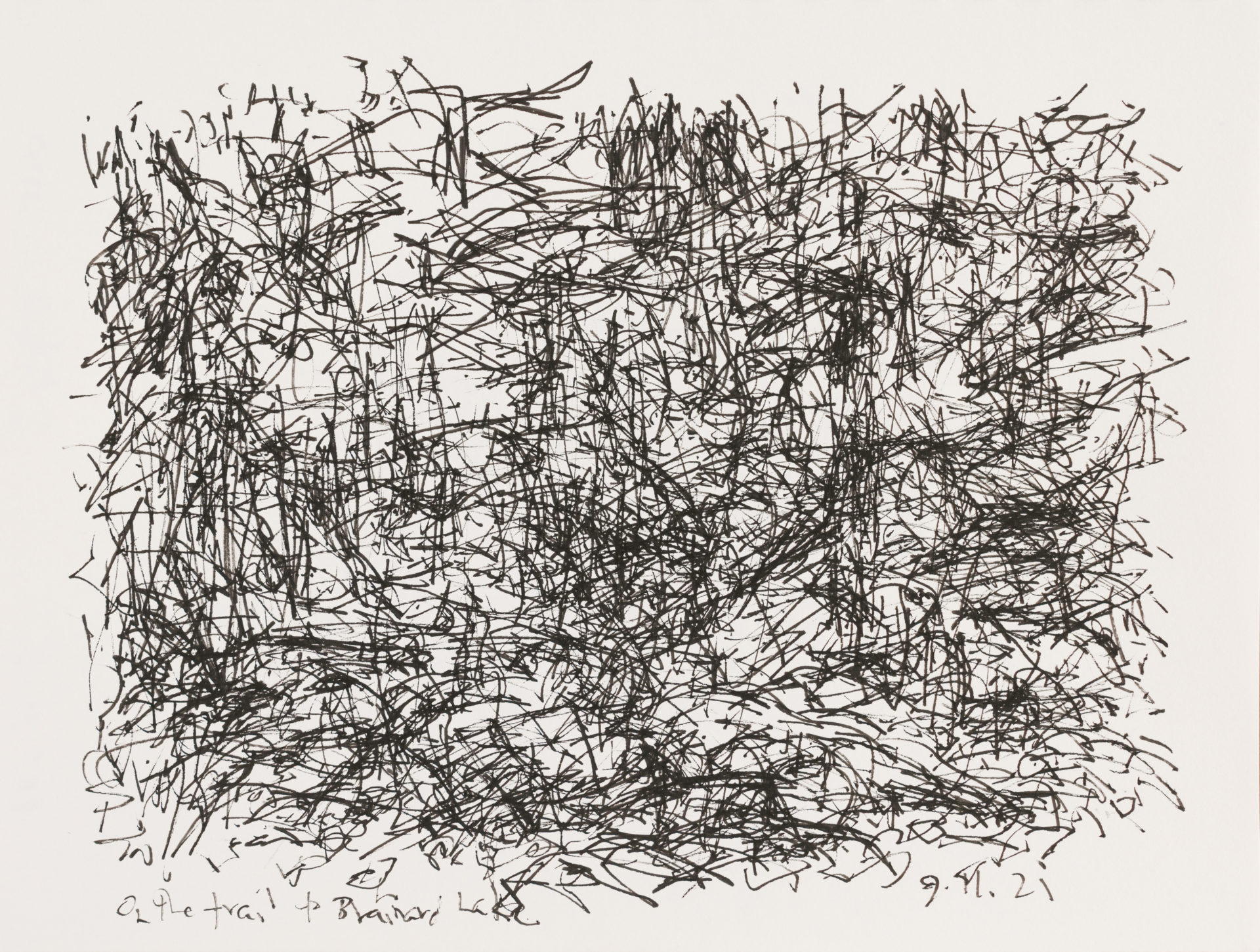 Brainard Lake Trail Jordan Wolfson